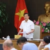 政府副总理黎明慨：越南化工集团应保障资源平衡同时增加法定资本