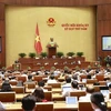 越南第十五届国会第五次会议：国会代表对试行胡志明市发展的特殊机制提出意见