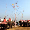 多乐省独特的为大象健康祭祀仪式 