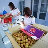 越南第十五届国会第五次会议：力争在北部建立出口水果辐照处理中心