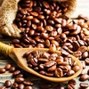 2023年越南咖啡出口额有望突破40亿美元大关