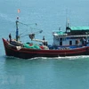 解除IUU黄牌警告：广治省加强对渔船的监测以打击非法捕捞行为