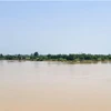 越南国家主席就尼日尔河翻船事故向尼日利亚总统致慰问电