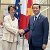 法国开发署同意在绿色能源开发和可再生能源等领域向越南提供资金支持 