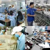 越南东南部地区积极发展高素质人力资源