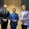 越南政府副总理陈红河对荷兰进行工作访问