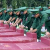 越南伤残军人与烈士日76周年系列纪念活动即将举行