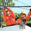 越南工贸部副部长杜胜海：从现在到2023年底，基本不会发生电力短缺情况