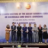 东盟化学品与废物工作组第八次会议在河内举行