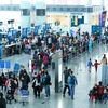 今年前6月越南航空旅客吞吐量大幅增长