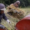 菲律宾与世界银行签署贷款协议以振兴农渔业