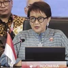 印度尼西亚强调《东南亚友好合作条约》意义