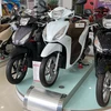 2023年6月份本田（越南）公司摩托车和汽车销量双下降