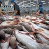 越南对德国的查鱼出口额呈两位数增长