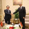 越南外交部副部长何金玉：加强越南与埃及经贸合作关系的大好机会
