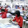 越南劳动荣军与社会部：充分开拓欧洲劳务市场 