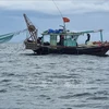 广宁省将从9月1日起没收非法捕捞船舶及其捕获的水产品