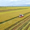  越南农业从EVFTA 获益匪浅 