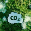 越南大力促进碳市场发展