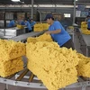 2023年7月份越南橡胶出口创年初以来的最高水平