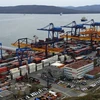 越俄通过符拉迪沃斯托克港加强贸易合作