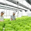 澳大利亚向越南农业创新项目提供援助