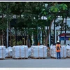 河仙水泥股份公司成功向美国市场出口第一批水泥