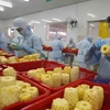 2023年前8个月越南蔬果出口实现爆发式增长