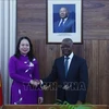 越南国家副主席武氏映春与莫桑比克总理举行会谈