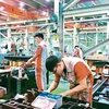 越南制造业和证劵重拾增长势头