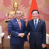 进一步深化越南与老挝国会之间的务实合作
