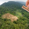 平福省落实应对《欧盟零毁林法案》的行动计划框架