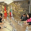 越南与保加利亚副外长就加强两国双边合作进行讨论