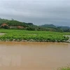 越南多地特大暴雨与洪灾爆发