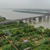 越南积极促进红河-太平河流域的经济发展