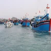 打击IUU捕鱼：越南严格实施欧盟委员会的建议