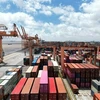 越南出口阿联酋五集装箱货物疑似遭遇诈骗：已收回四个集装箱货款