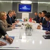 能源合作是越俄全面战略伙伴关系的支柱之一