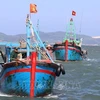 黎明欢部长视察富安省打击IUU捕捞和灾害防治工作