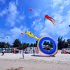 平顺省将举办风筝节 介绍创造越南吉尼斯纪录的最大风筝
