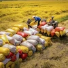 印尼新任农业部长承诺停止进口大米