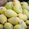 越南是韩国第三大芒果供应市场 