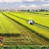 九龙江三角洲为企业对农业和农村进行投资“铺开红地毯”