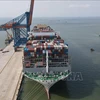 越南批准改造升级南部地区水路运输和物流系统项目