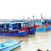 广平省与政府携手打击非法捕捞活动