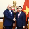越南外交部长裴青山会见格鲁吉亚副外长赫夫季夏什维利