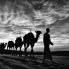 越南记者拍摄摩洛哥和古巴的照片荣获澳大利亚摄影奖5项大奖