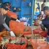 越南虾类产品已销往世界100个国家左右