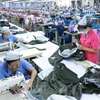 劳动就业和社会保障为越南经济发展注入活力