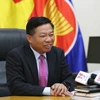 越南驻柬埔寨大使：柬埔寨国会主席越南之行成为两国关系史上的新里程碑